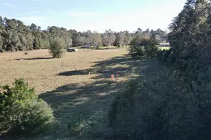 585 County Rd 3796, Cleveland, TX 77328 - Photo 18