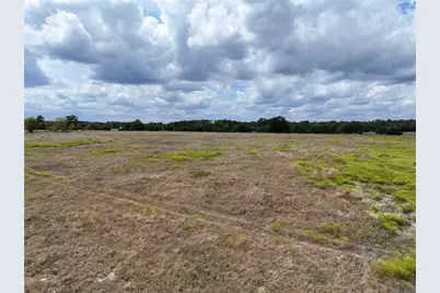 6275 County Road 206, Plantersville, TX 77363 - Photo 18