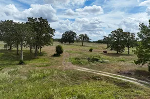 6275 Co Rd 206, Plantersville, TX 77363 - Photo 1
