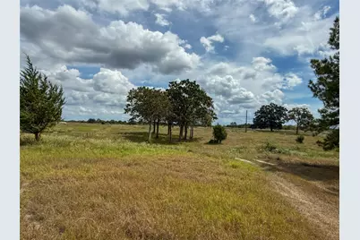6275 County Road 206, Plantersville, TX 77363 - Photo 8