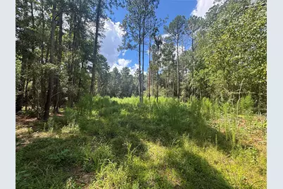 9416 Pecan Road, Plantersville, TX 77363 - Photo 2