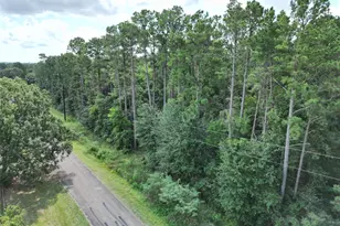 9416 Pecan Rd, Plantersville, TX 77363 - Photo 1