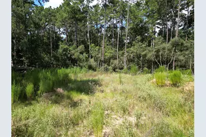 9416 Pecan Road, Plantersville, TX 77363 - Photo 4