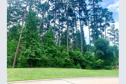 67 N Glenwild Circle, Spring, TX 77389 - Photo 4