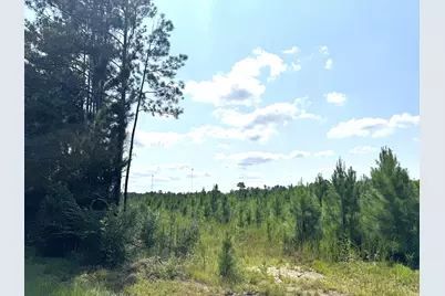 Tbd S Pitzer Street, Colmesneil, TX 75938 - Photo 42