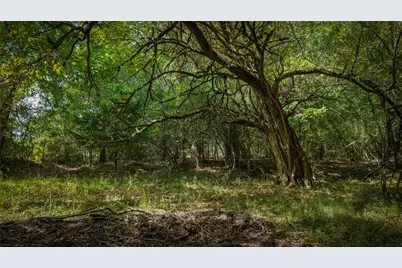 Tract 1 Tbd Mensik Rd, Bryan, TX 77808 - Photo 2