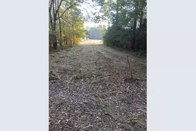 Tbd Palmetto, Magnolia, TX 77356 - Photo 28