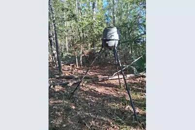 Tbd Palmetto, Magnolia, TX 77356 - Photo 2