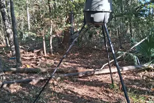 Tbd Palmetto, Magnolia, TX 77356 - Photo 2