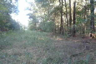 Tbd Palmetto, Magnolia, TX 77356 - Photo 14