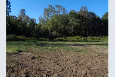 Tbd Palmetto, Magnolia, TX 77356 - Photo 10