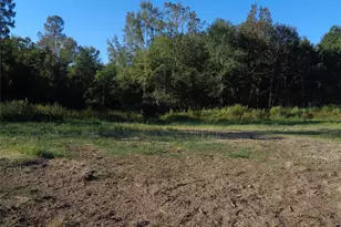 Tbd Palmetto, Magnolia, TX 77356 - Photo 10