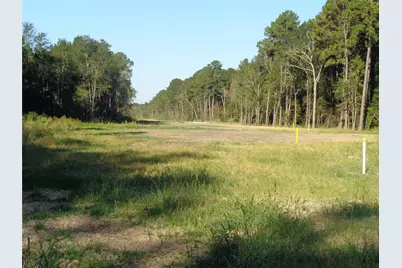 Tbd Palmetto, Magnolia, TX 77356 - Photo 12