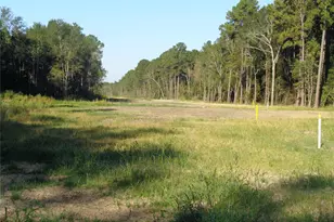 Tbd Palmetto, Magnolia, TX 77356 - Photo 12