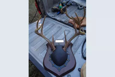 Tbd Palmetto, Magnolia, TX 77356 - Photo 22