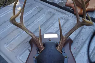 Tbd Palmetto, Magnolia, TX 77356 - Photo 22