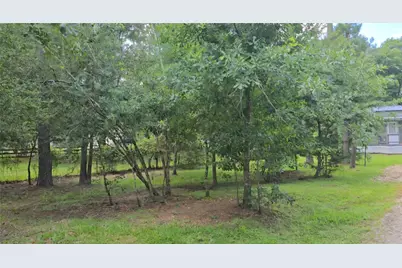 23806 Brushy Woods Street, Hockley, TX 77447 - Photo 8