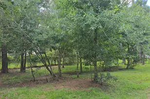 23806 Brushy Woods St, Hockley, TX 77447 - Photo 8