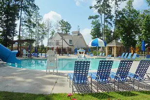 29914 Adobe Falls Dr, Spring, TX 77386 - Photo 30