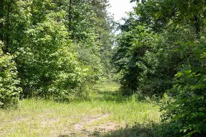 T2,4,5 Highway 190, Oakhurst, TX 77359 - Photo 16