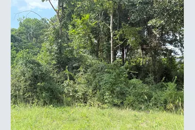 0 Mechanic Road, Tomball, TX 77375 - Photo 6