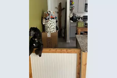 18984 Caney Forest Drive, New Caney, TX 77357 - Photo 8