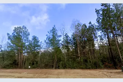 11794 Grand North Road, Willis, TX 77378 - Photo 6