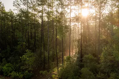 11794 Grand North Road, Willis, TX 77378 - Photo 16