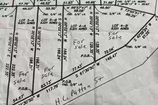 17138 Hl Patton Blvd, Splendora, TX 77372 - Photo 4