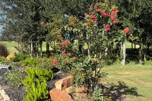7490 FM 2546 Rd, El Campo, TX 77437 - Photo 6