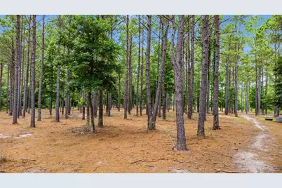 1780 Josserand Road, Groveton, TX 75845 - Photo 8
