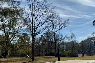 473 Firelane S, Livingston, TX 77351 - Photo 28