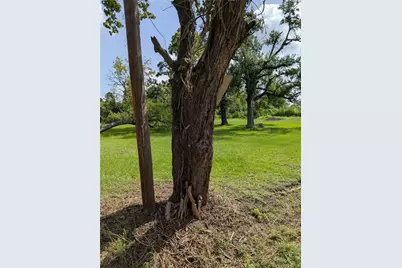 4309 Weaver Road, Houston, TX 77016 - Photo 2