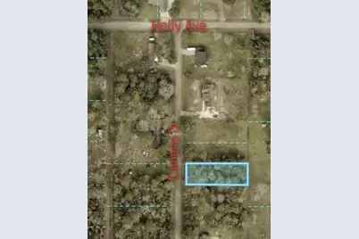 17895 Camellia Drive, Beaumont, TX 77705 - Photo 4