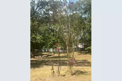 185 Amber Lane, Livingston, TX 77351 - Photo 4