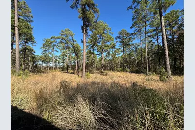 065 Private Road 6026, Brookeland, TX 75931 - Photo 4