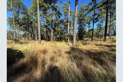 065 Private Road 6026, Brookeland, TX 75931 - Photo 2