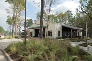 11531 Dosey Doe Dr, Montgomery, TX 77316 - Photo 36