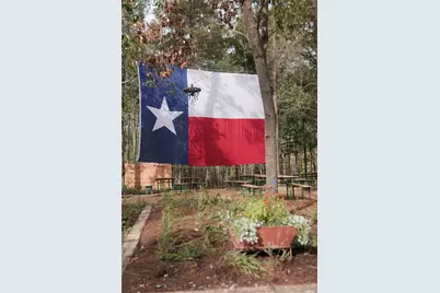 11531 Dosey Doe Drive, Montgomery, TX 77316 - Photo 32