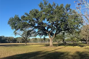 4951 Glenmeadow Dr, Houston, TX 77096 - Photo 40