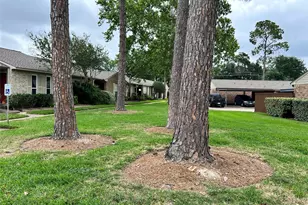 8801 Hammerly Blvd, Hockley, TX 77080 - Photo 26
