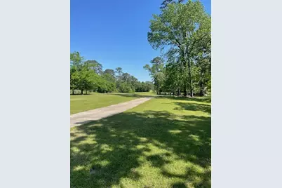 26705 Maple Lane, Huntsville, TX 77320 - Photo 10