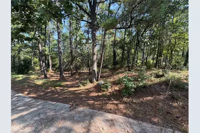 164 Pine Hollow Cove, Brookeland, TX 75931 - Photo 38