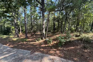 164 Pine Hollow Cove, Brookeland, TX 75931 - Photo 38