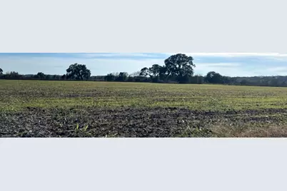 28 Acres Shaws Bend Road, Columbus, TX 78934 - Photo 2