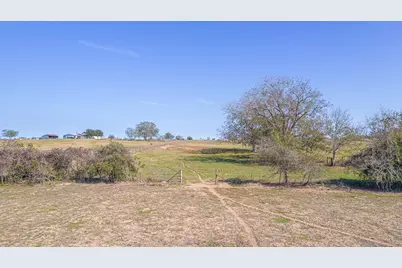 28 Acres Shaws Bend Road, Columbus, TX 78934 - Photo 20