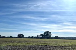 28 Acres Shaws Bend Rd, Columbus, TX 78934 - Photo 1