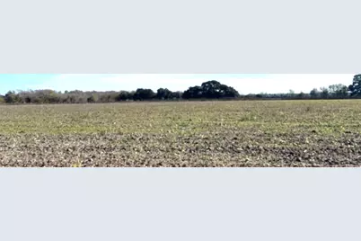 28 Acres Shaws Bend Road, Columbus, TX 78934 - Photo 2