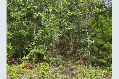 Tbd Tree Line Loop, Anderson, TX 77830 - Photo 2
