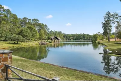 7389 Teaswood Drive, Conroe, TX 77304 - Photo 14